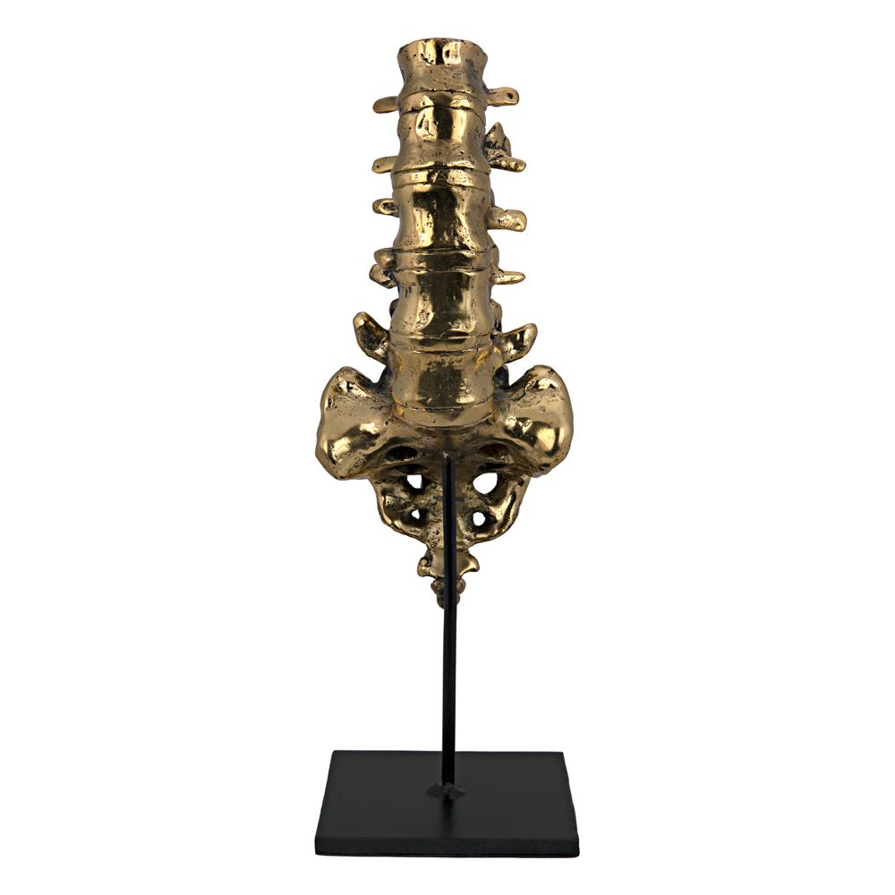 Vertebrae, Brass and Iron by NOIR