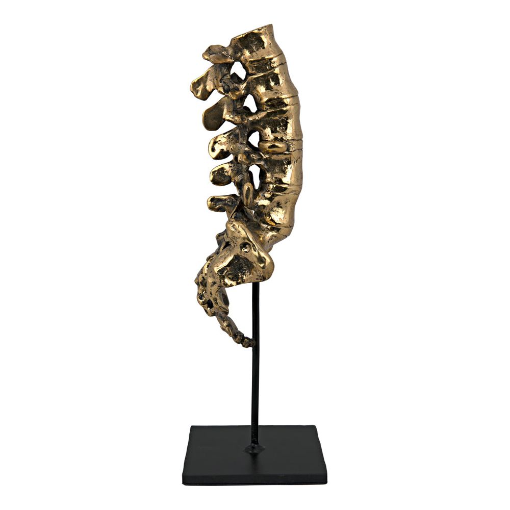 Vertebrae, Brass and Iron by NOIR