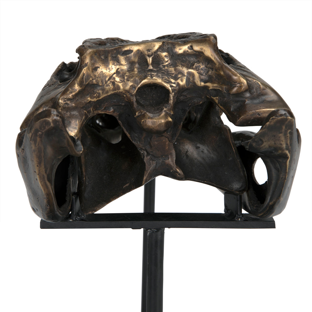 Brass Alligator On Stand, Medium by NOIR