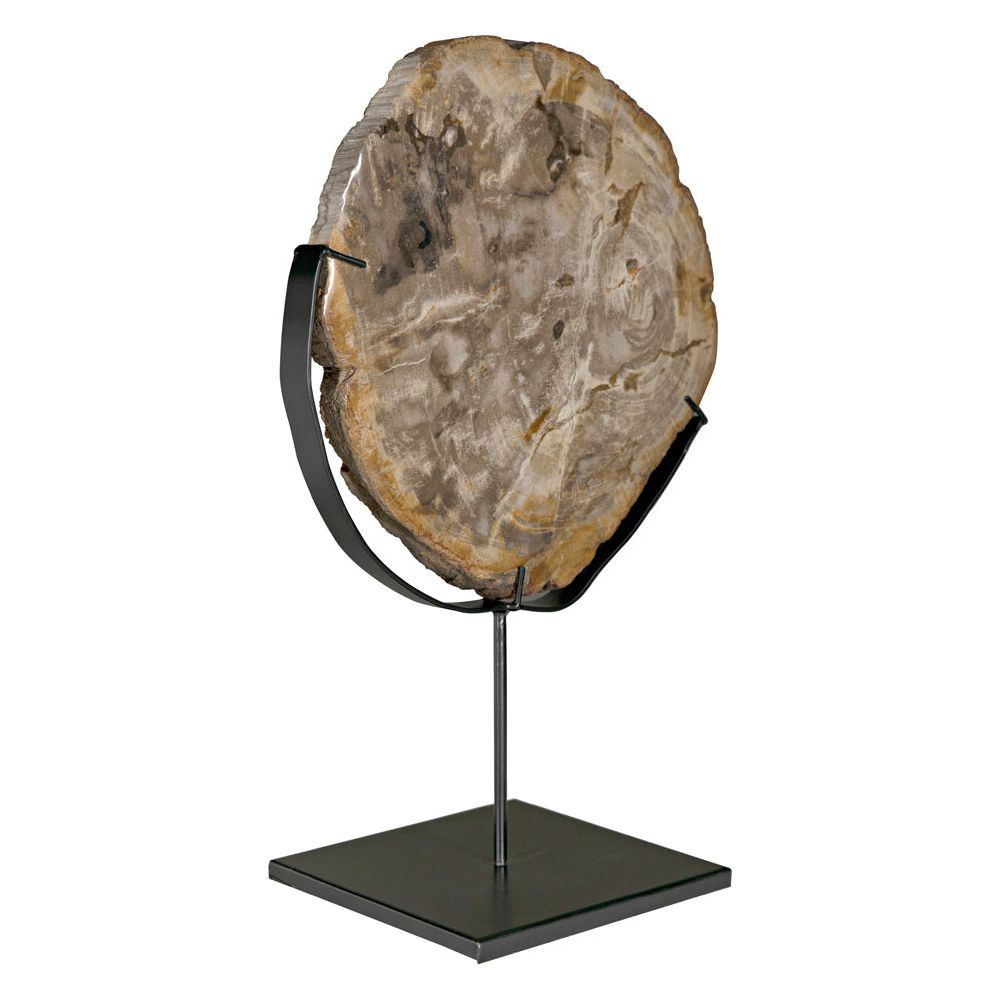 Wood Fossil with Stand, 12" by NOIR