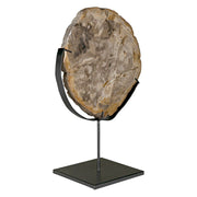 Wood Fossil with Stand, 12" by NOIR