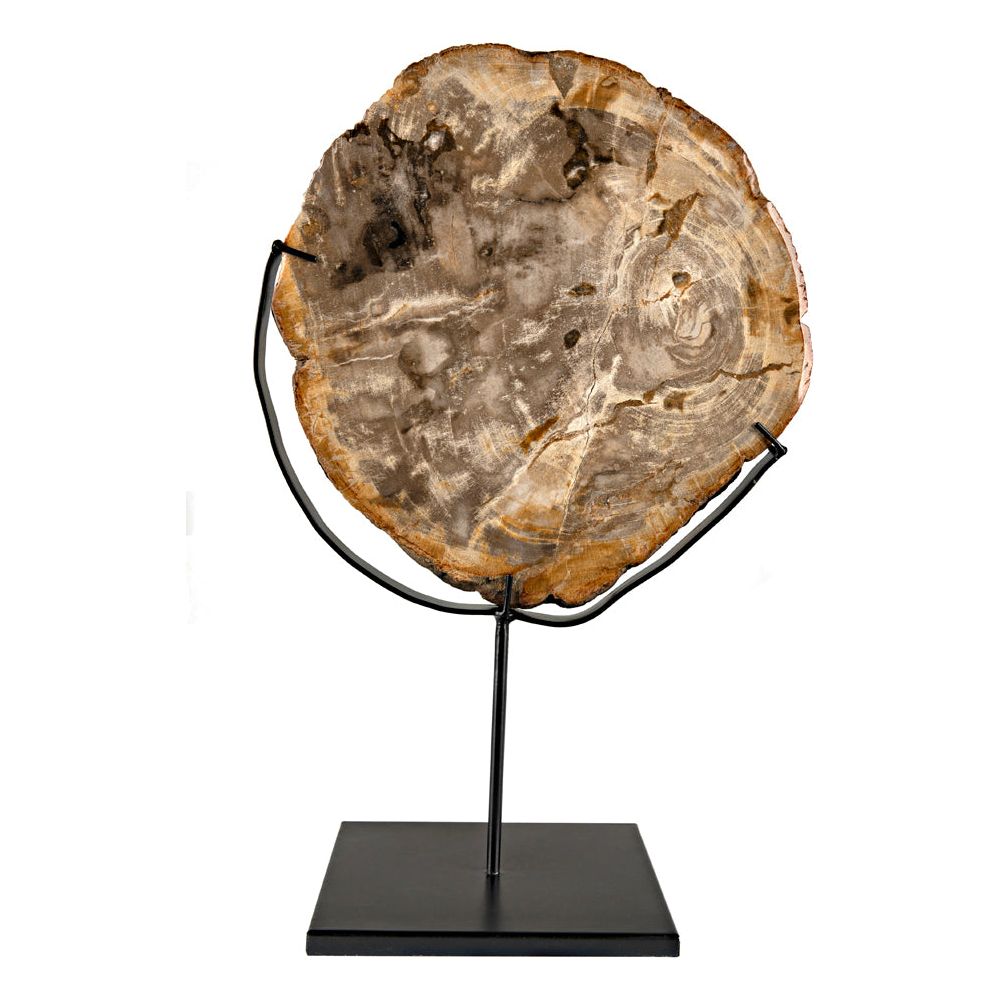 Wood Fossil with Stand, 12" by NOIR
