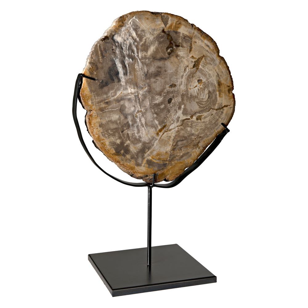 Wood Fossil with Stand, 12" by NOIR