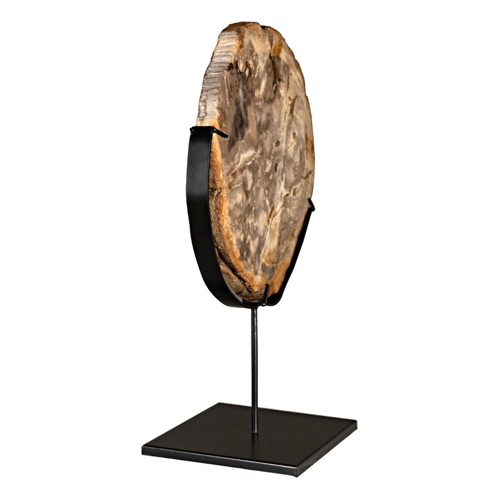 Wood Fossil with Stand, 12" by NOIR