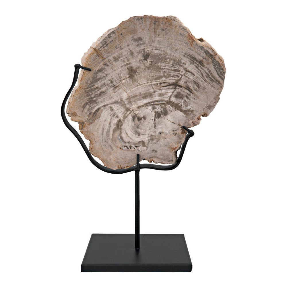 Wood Fossil with Stand, 8" by NOIR