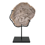 Wood Fossil with Stand, 8" by NOIR