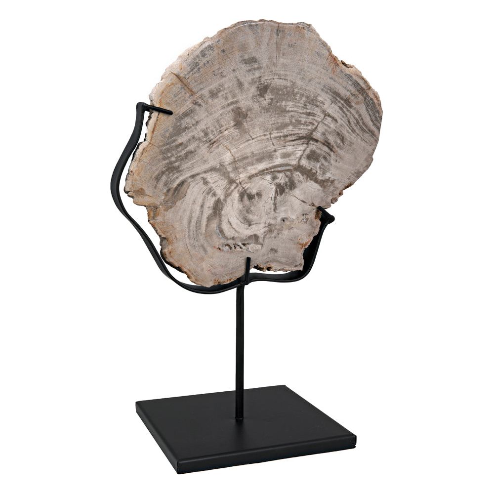 Wood Fossil with Stand, 8" by NOIR