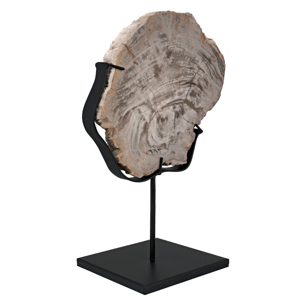 Wood Fossil with Stand, 8" by NOIR
