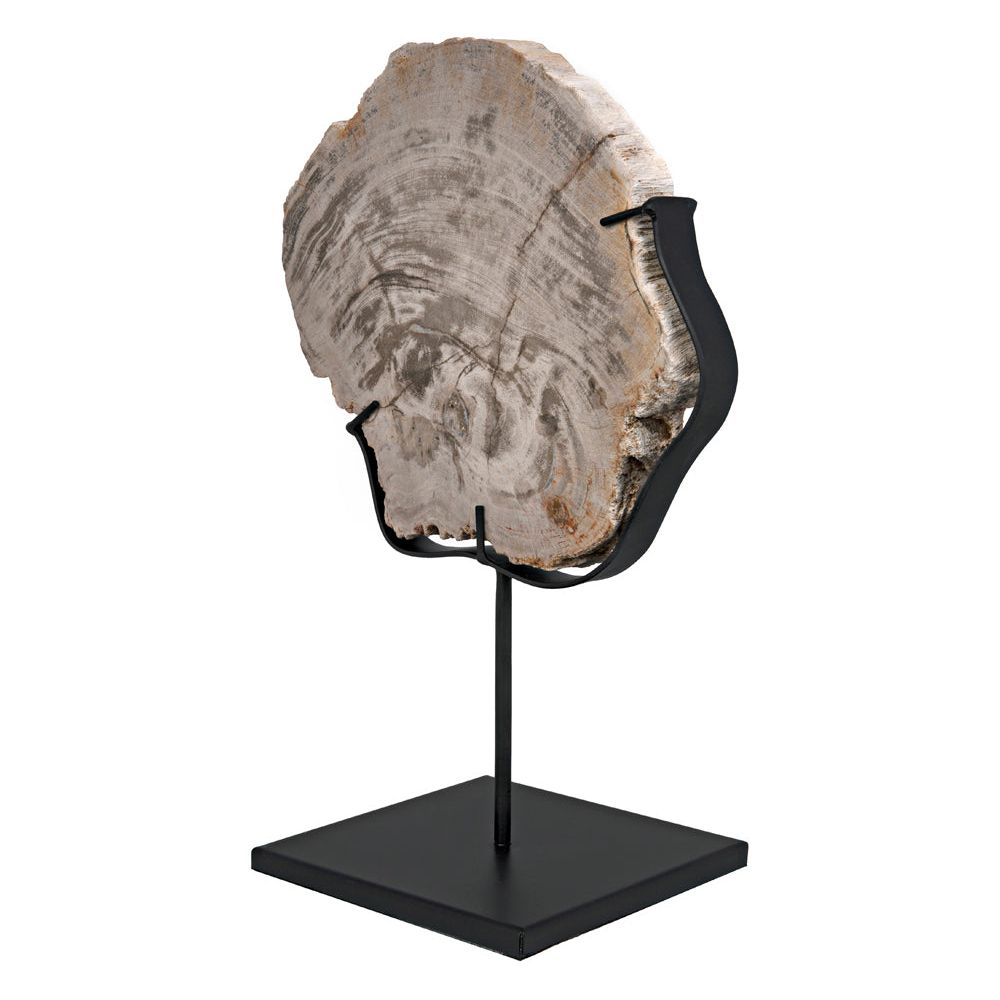 Wood Fossil with Stand, 8" by NOIR