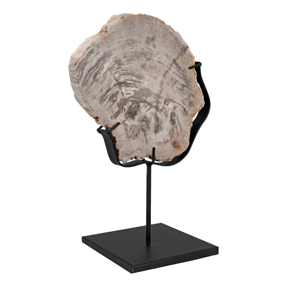 Wood Fossil with Stand, 8" by NOIR
