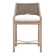 Adamo Counter Stool by Essentials For Living