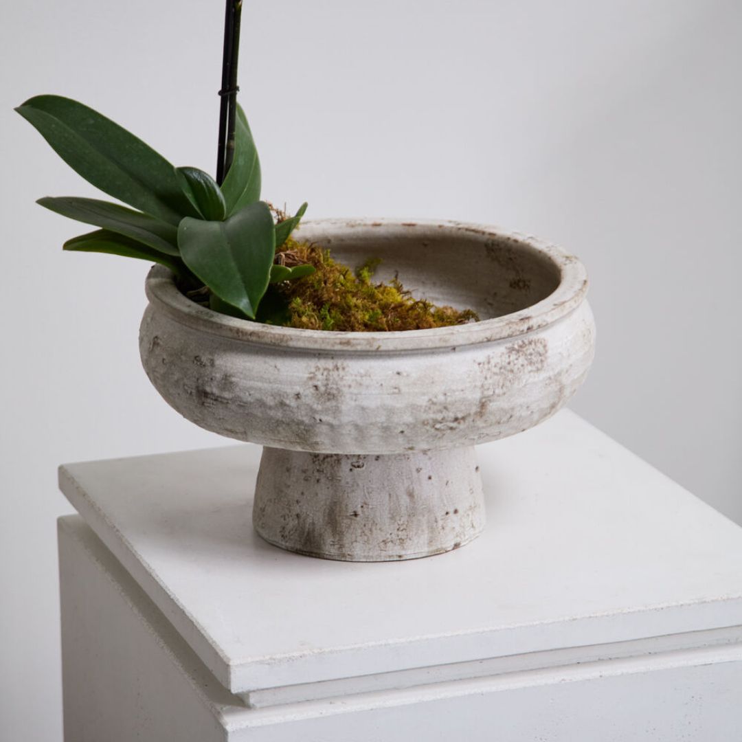 Garance Footed Bowl | Accent Decor by accent decor
