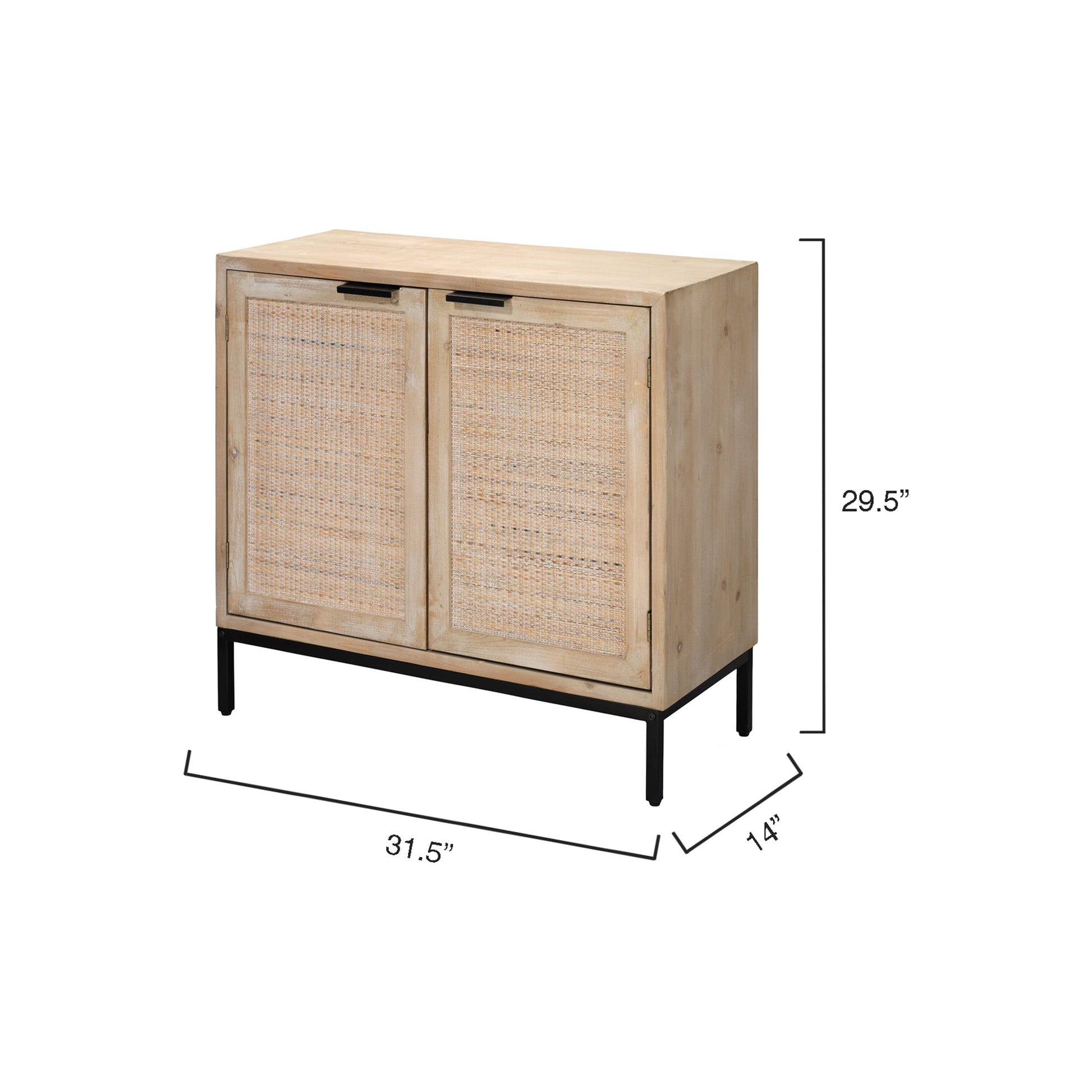 Reed 2 Door Accent Cabinet by Jamie Young