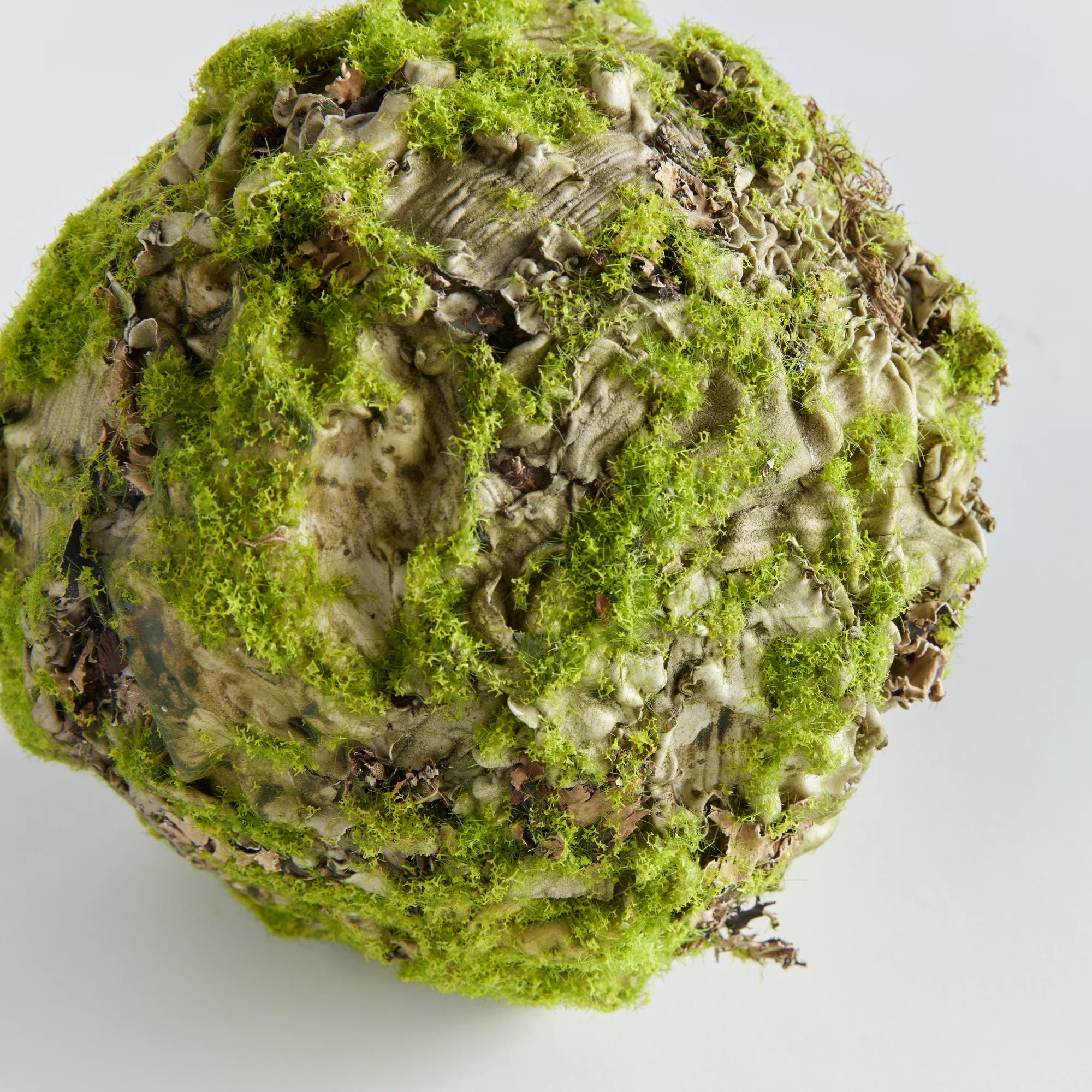 Mossy Linchen Orb by Napa Home & Garden