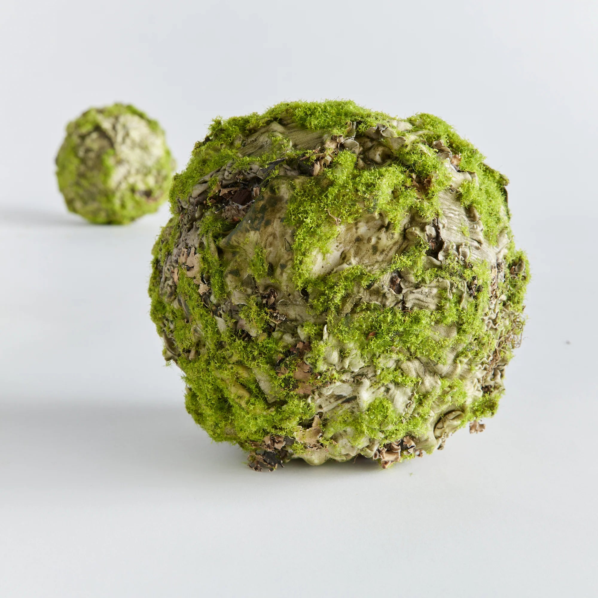 Mossy Linchen Orb by Napa Home & Garden