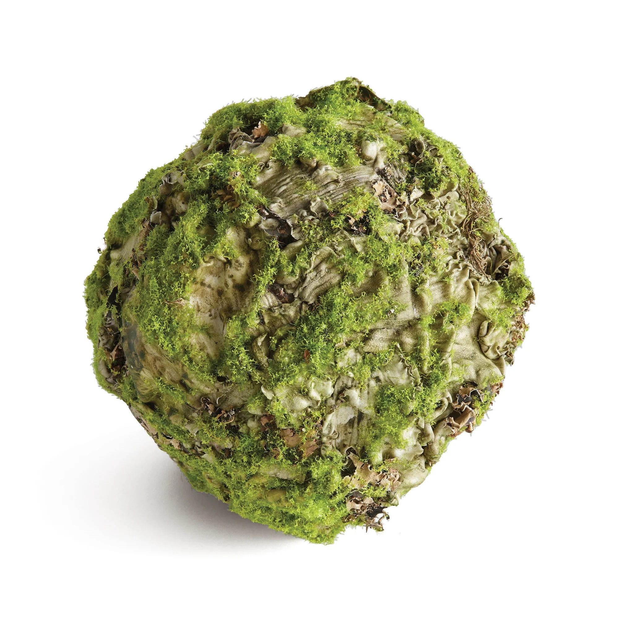 Mossy Linchen Orb 6.5" by Napa Home & Garden