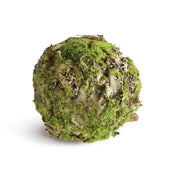 Mossy Linchen Orb 5" by Napa Home & Garden