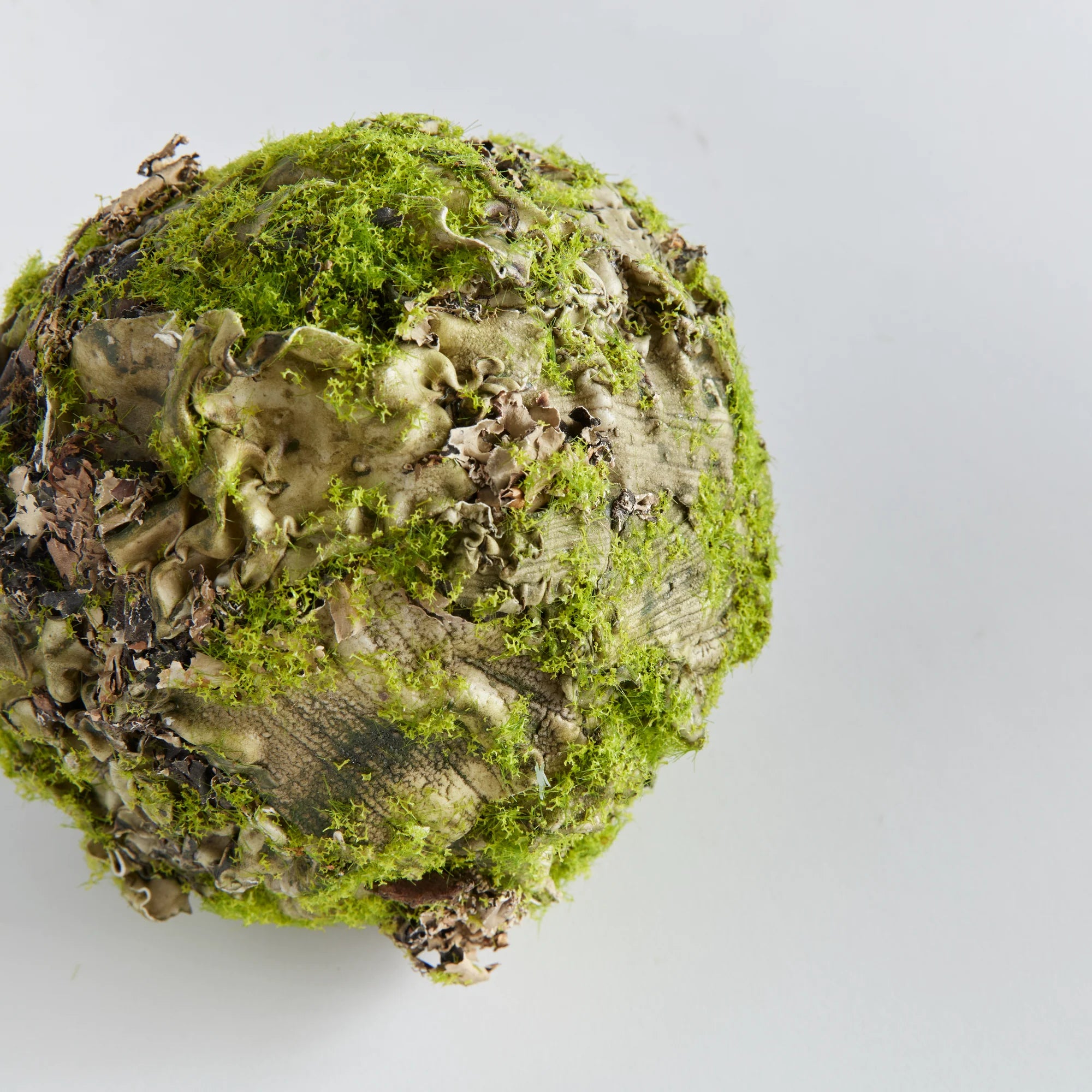 Mossy Linchen Orb by Napa Home & Garden
