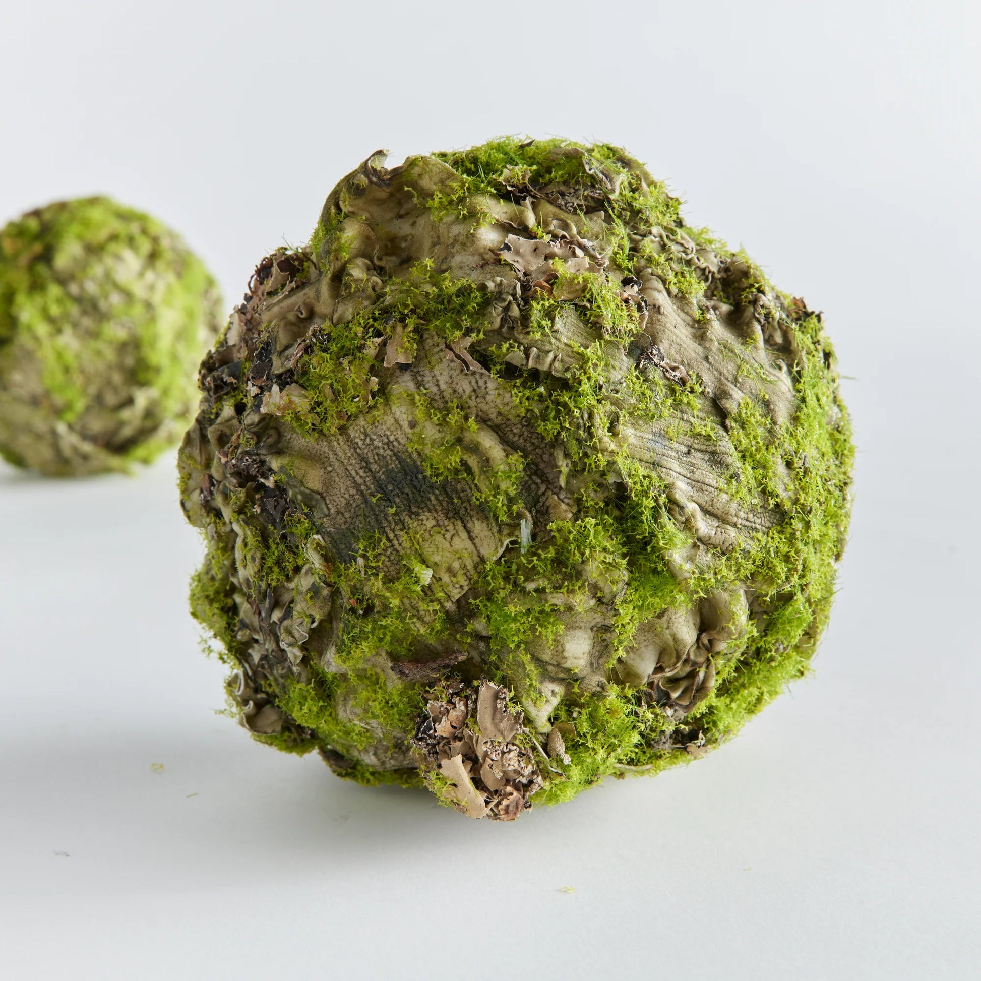 Mossy Linchen Orb by Napa Home & Garden