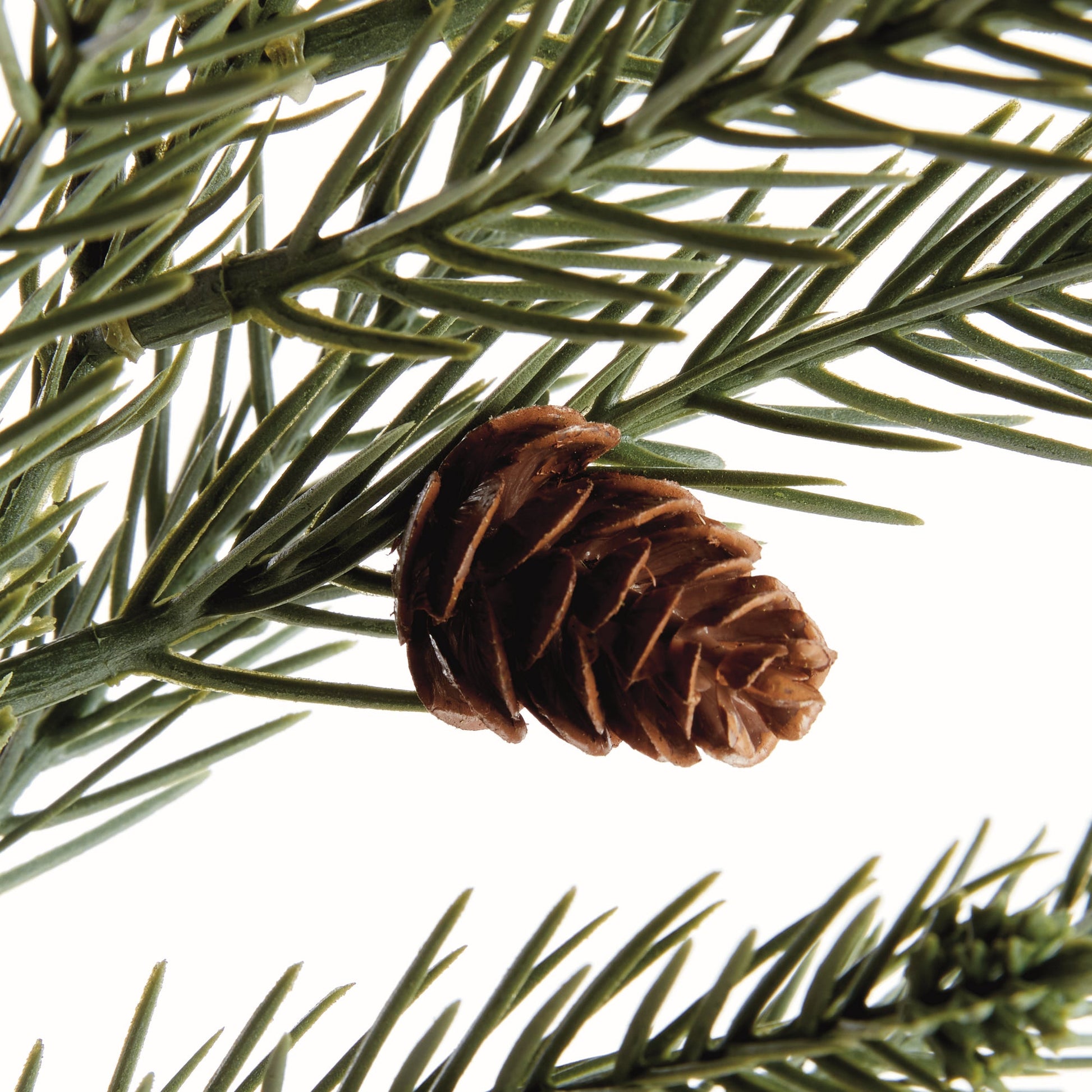 Pine & Pinecone Branch – 35" by Napa Home & Garden