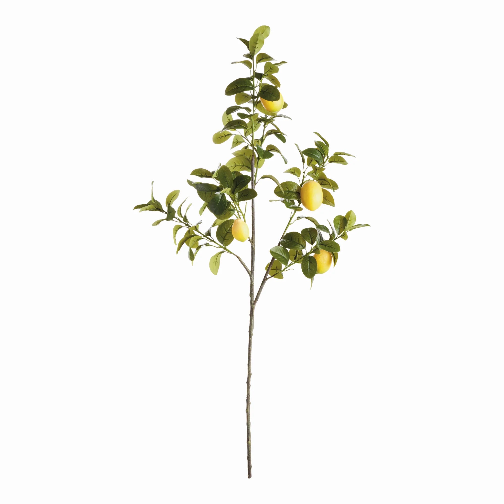 FAUX LEMON BRANCHES 43", SET OF 2 by Napa Home & Garden