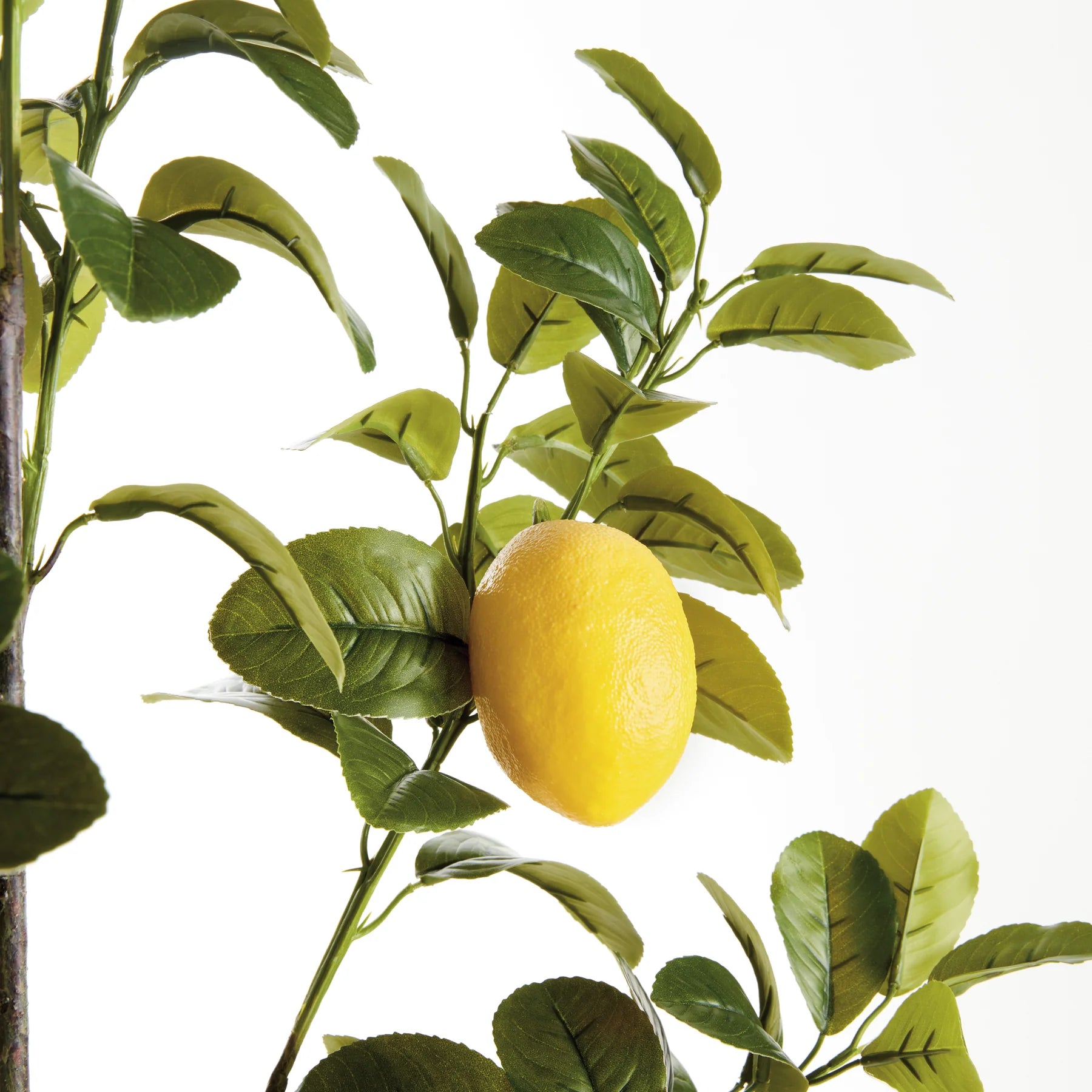 FAUX LEMON BRANCHES 43", SET OF 2 by Napa Home & Garden