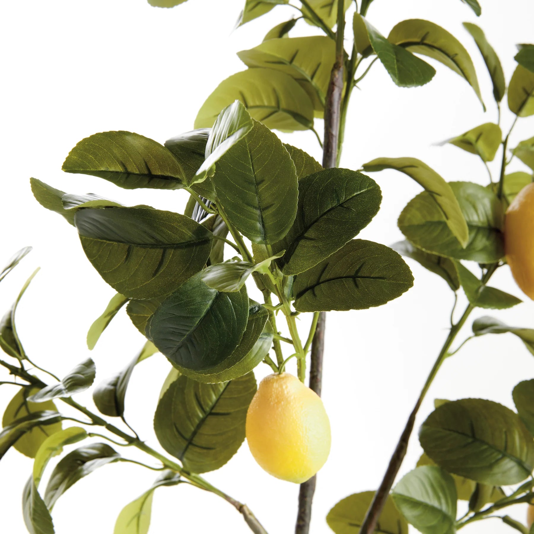 FAUX LEMON BRANCHES 43", SET OF 2 by Napa Home & Garden
