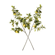 FAUX LEMON BRANCHES 43", SET OF 2 by Napa Home & Garden