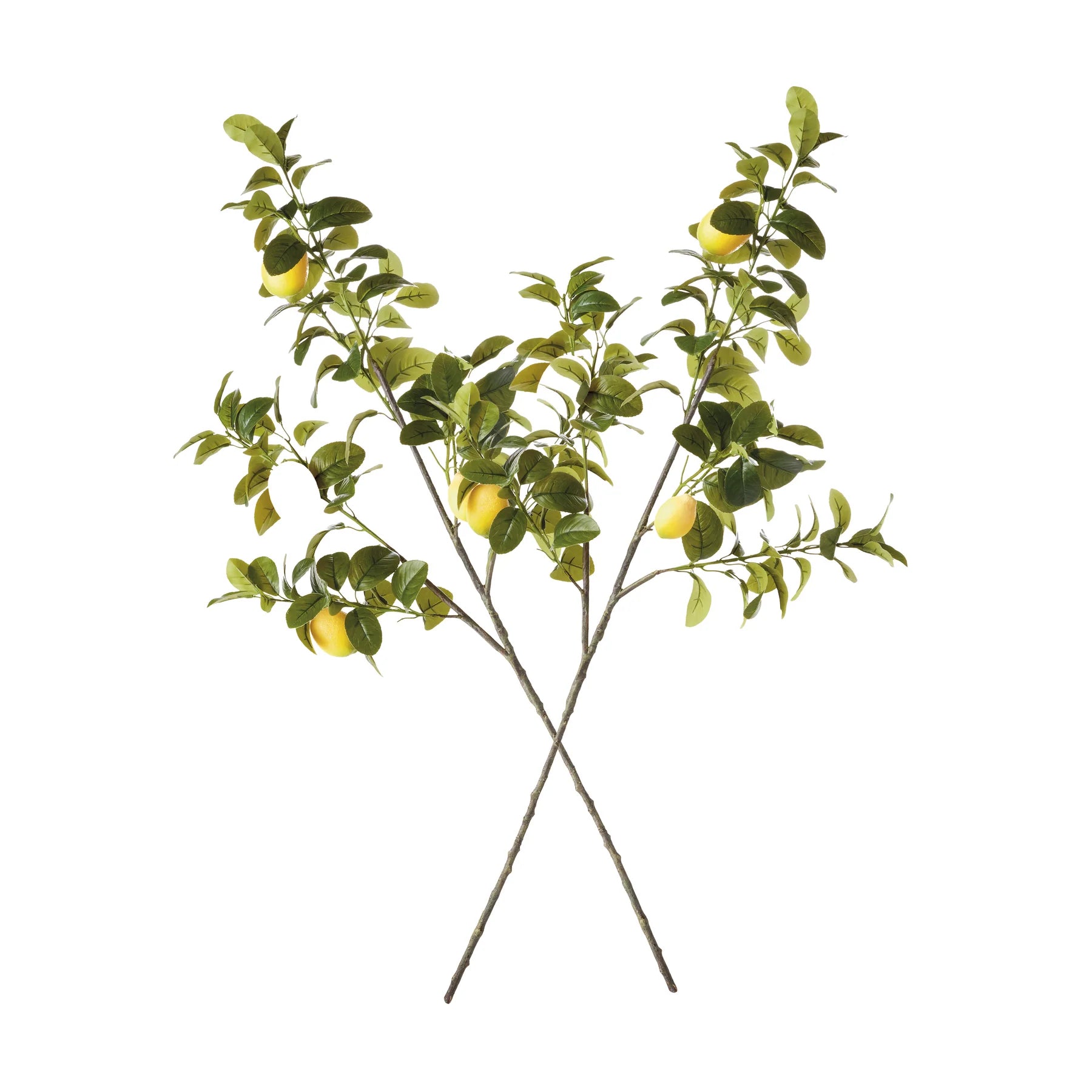 FAUX LEMON BRANCHES 43", SET OF 2 by Napa Home & Garden
