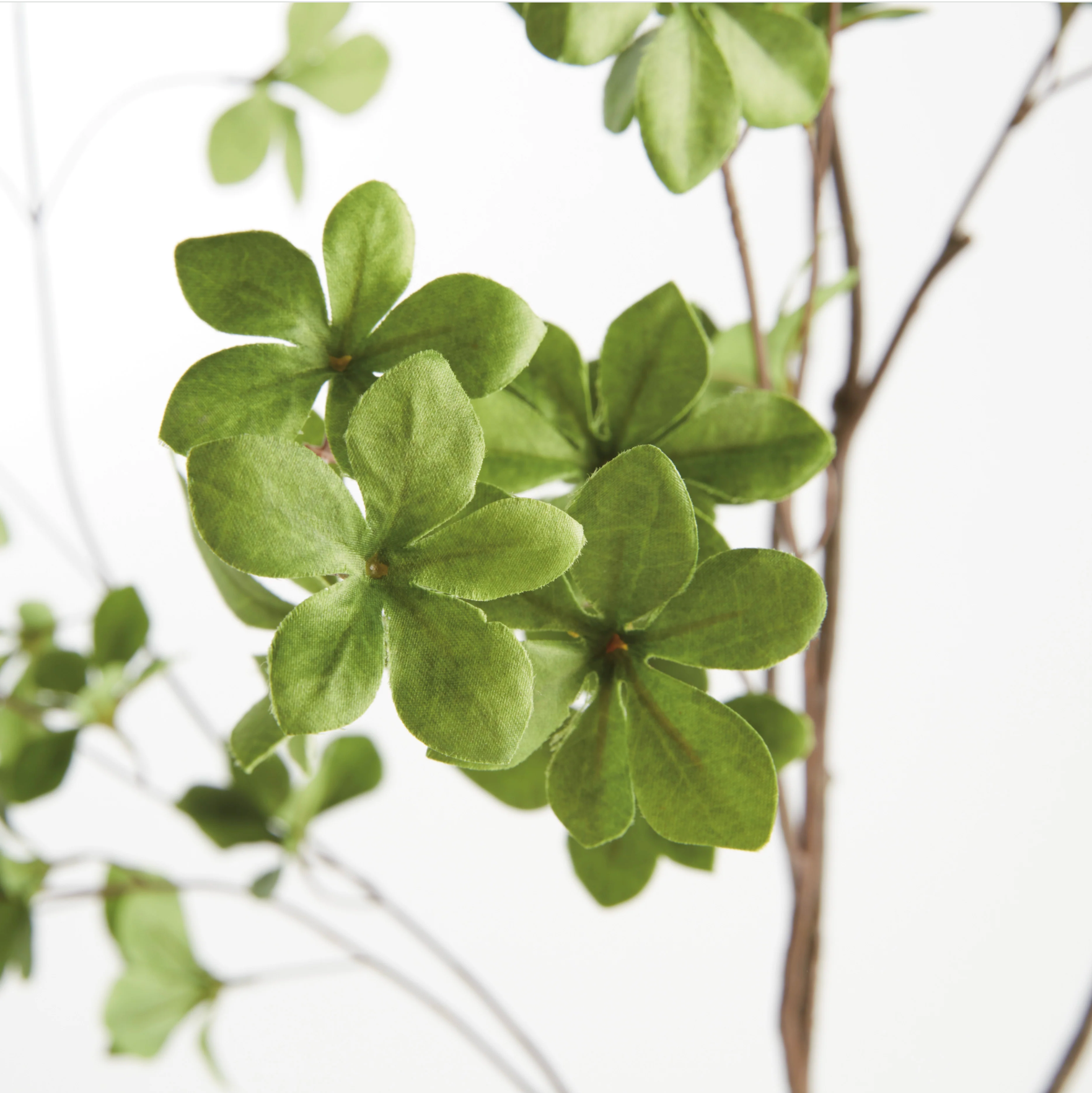 Shady Lady Black Olive Branches – Set of 2 by Napa Home & Garden