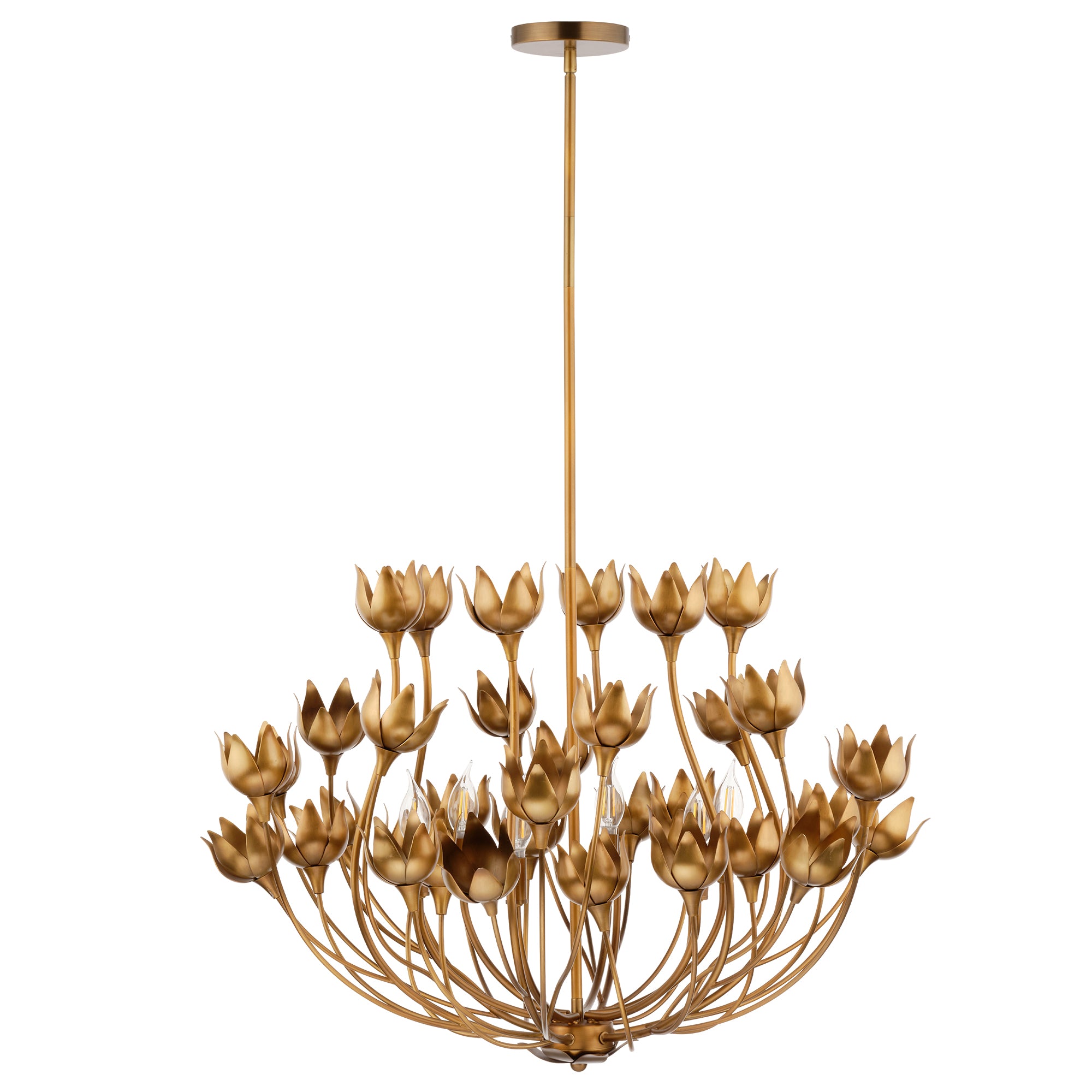 Dogwood 6-Light Chandelier