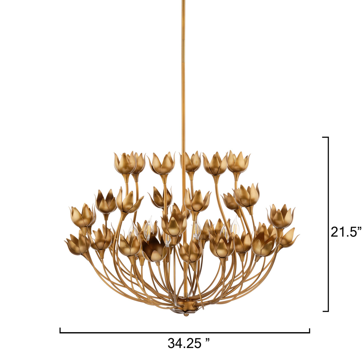 Dogwood 6-Light Chandelier