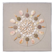 Miramar Wall Art, Pale Pink and Natural Shell