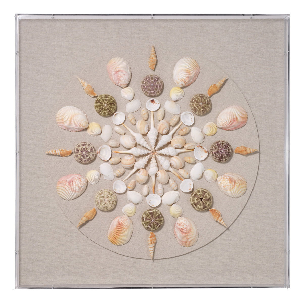 Miramar Wall Art, Pale Pink and Natural Shell