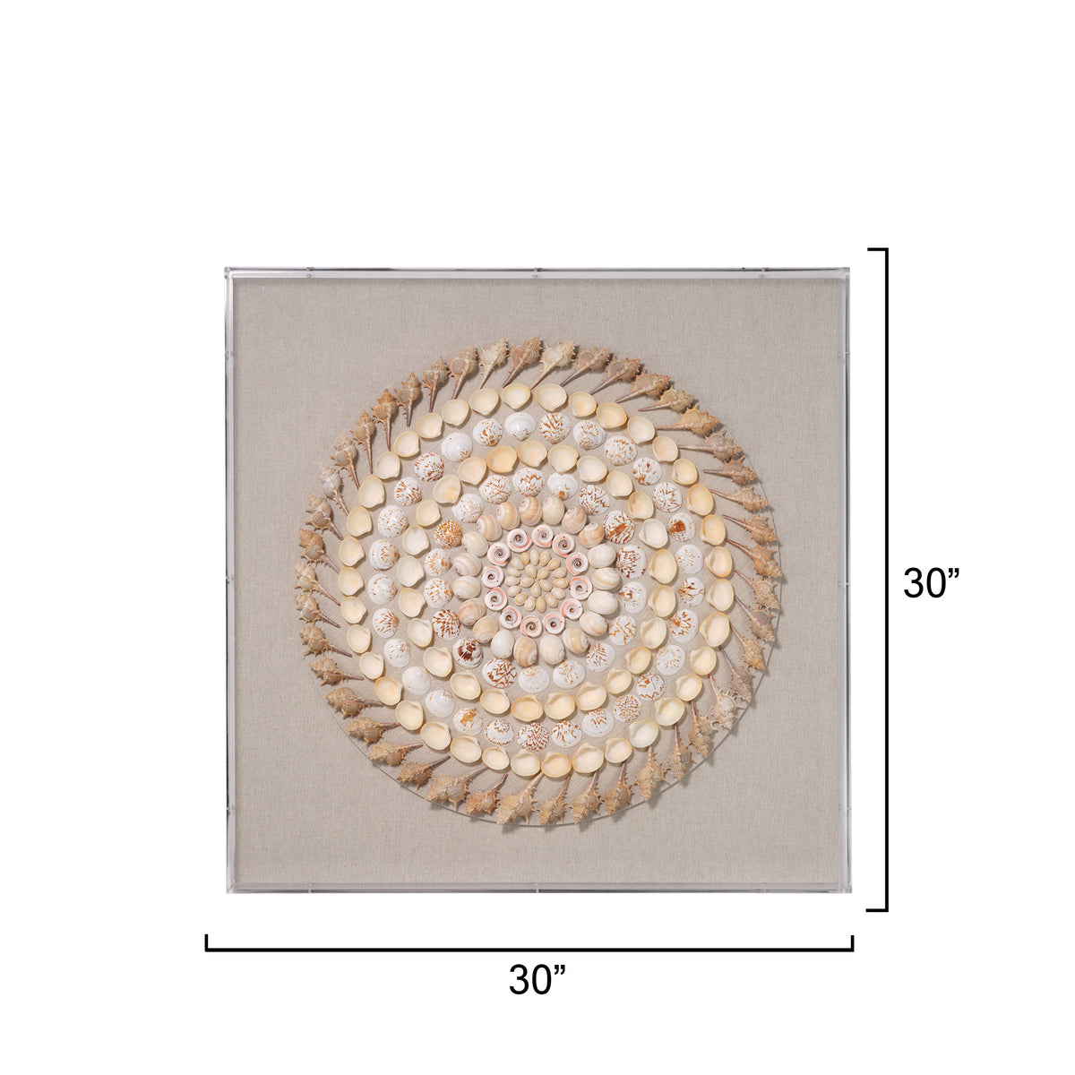 Outer Banks Wall Art, Cream and Natural Shell