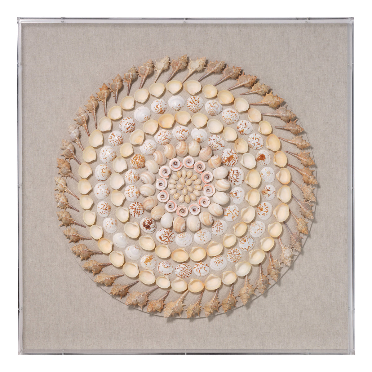Outer Banks Wall Art, Cream and Natural Shell