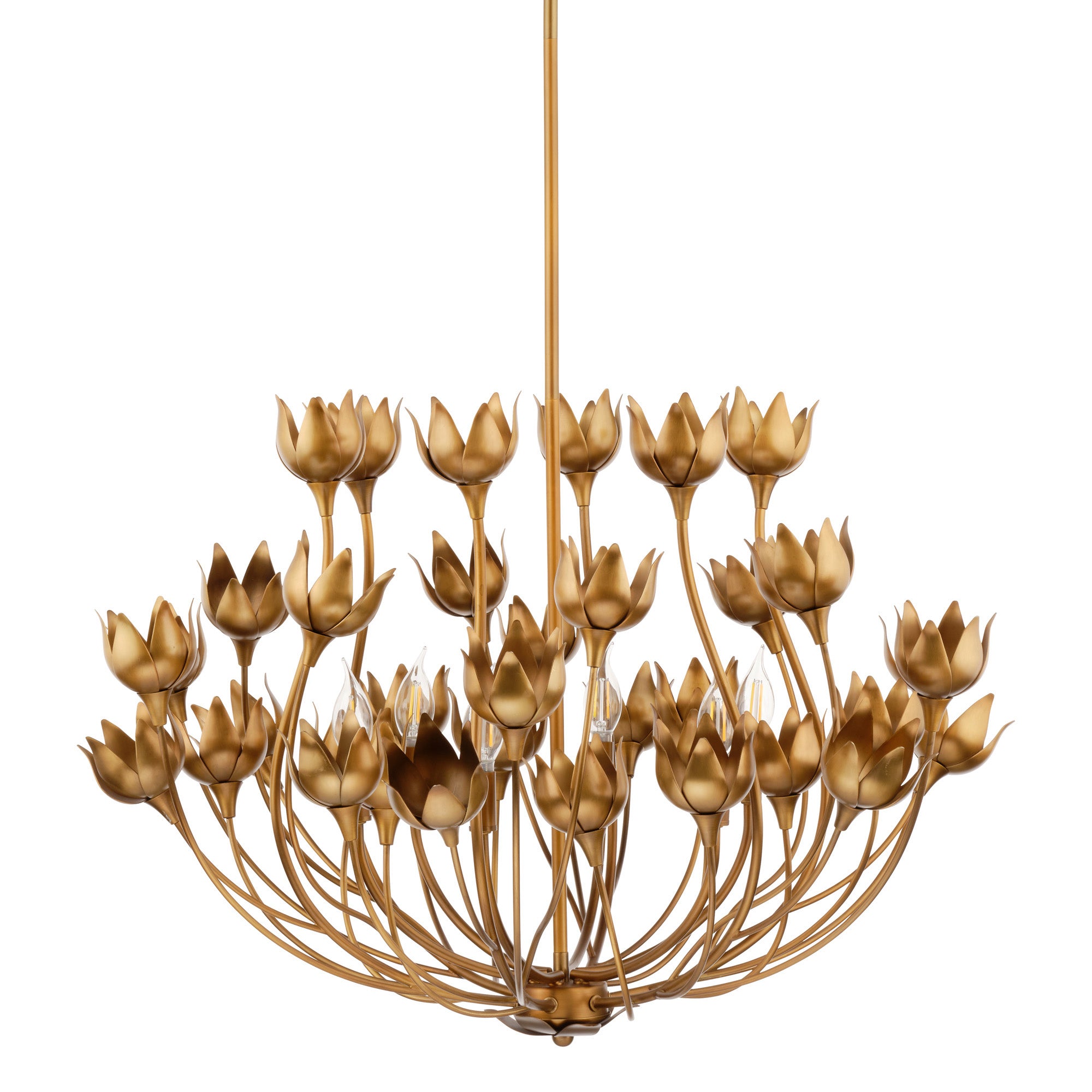 Dogwood 6-Light Chandelier